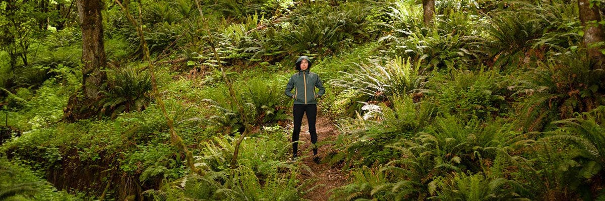 Our Commitment to Sustainability